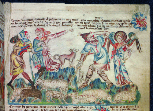 Shepherds about to jiggle.
