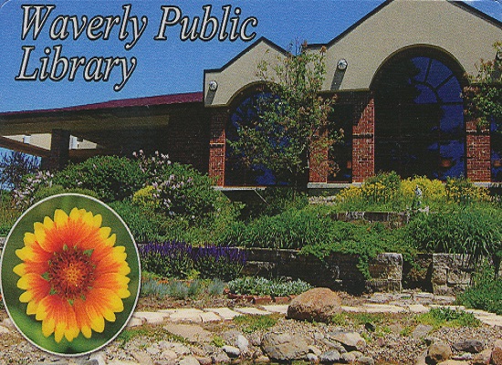 The public library is such a potentially joyful place...as you can tell with the flower emphasis on its official photo. 