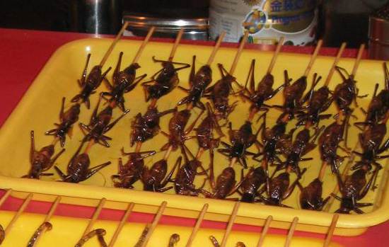 Especially good "pass-around" nibbles for Christmas Season wedding receptions! 