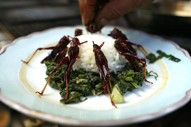 Healthy, abundant, and oh-so easy in the presentation!