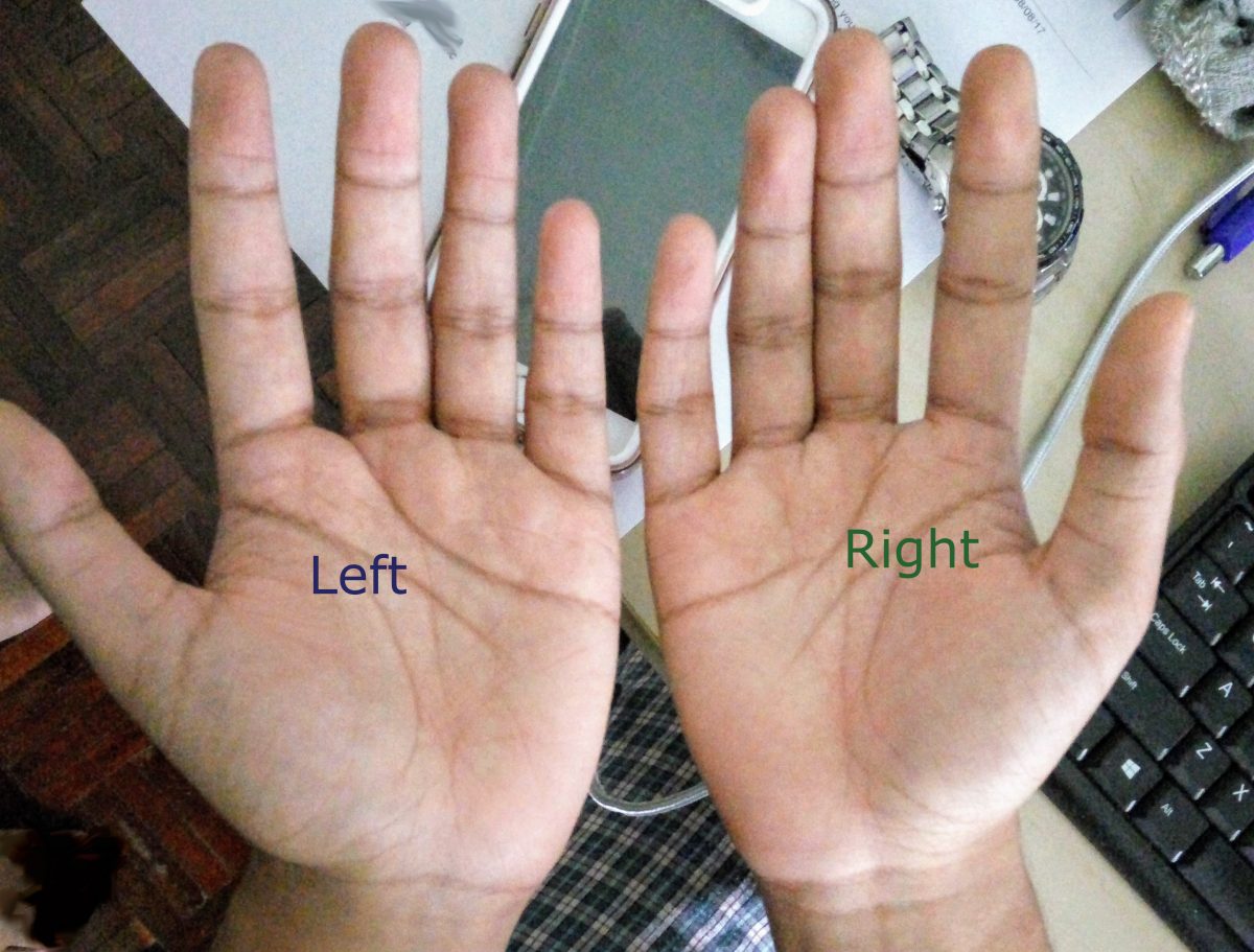 Handy (har har) Photo to help you with my Handy (har har) Guide