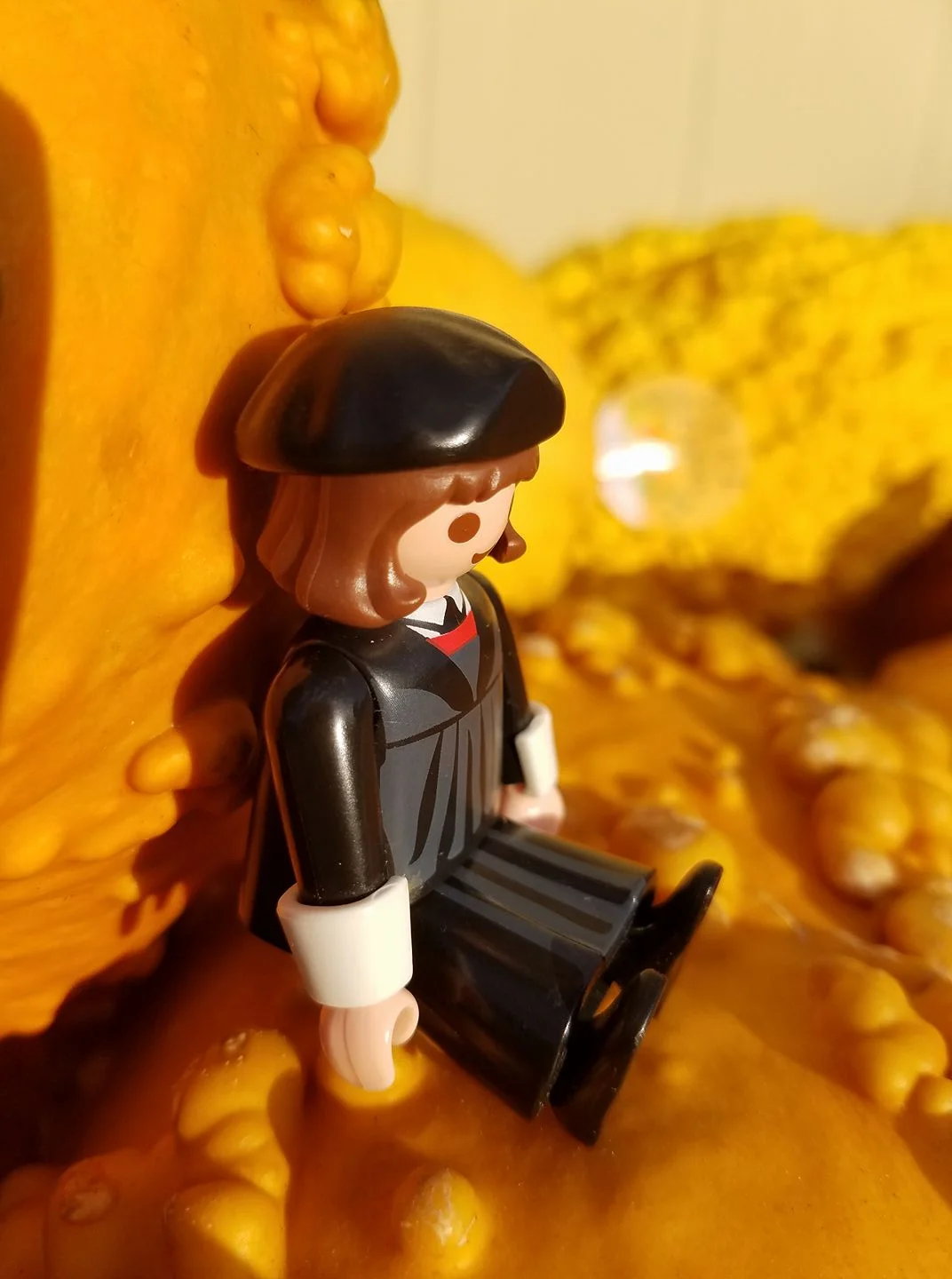 Here Luther finds some much-needed contemplative time...on a gourd.