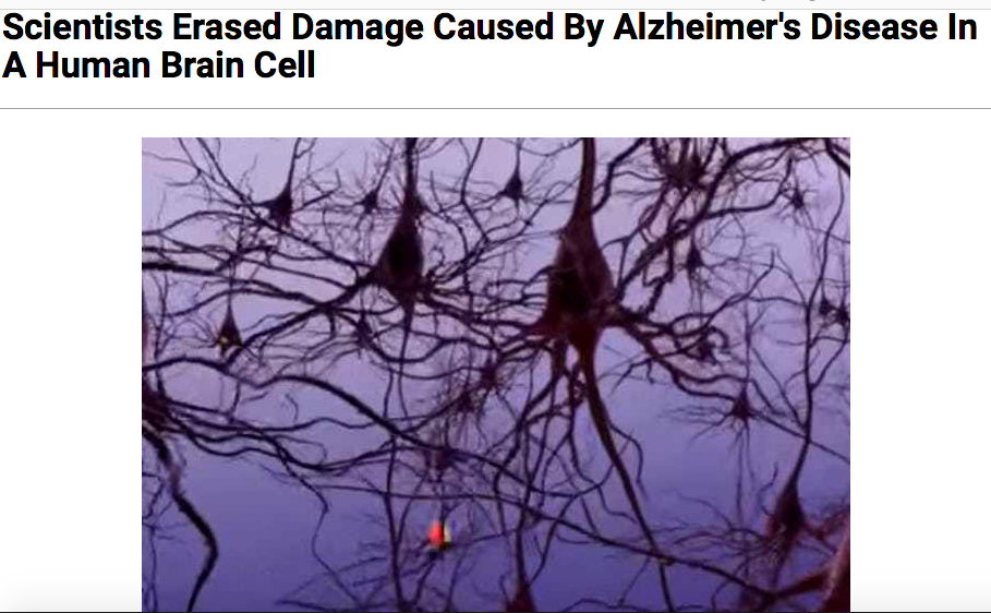 Scientists say much time and additional research is needed, however, before they're ready to try on human patients. 