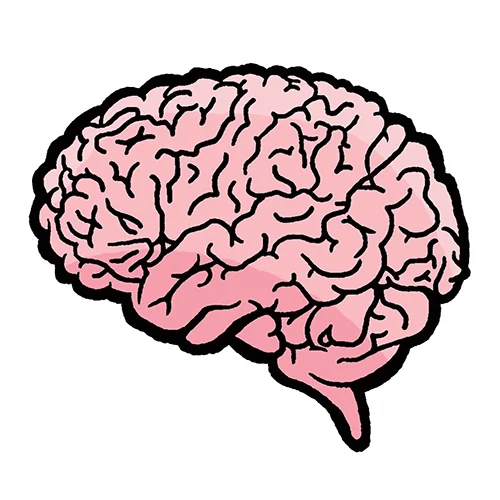 nmss_brain_signal_web.jpg