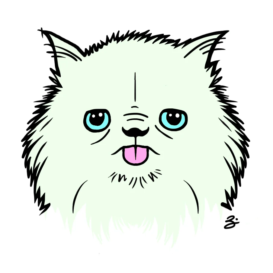gizmo_persiancat_zk.jpg