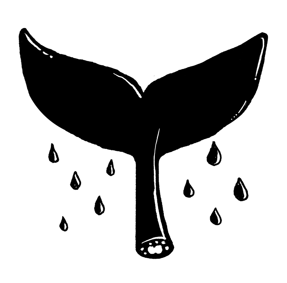 rip_whale_web.jpg