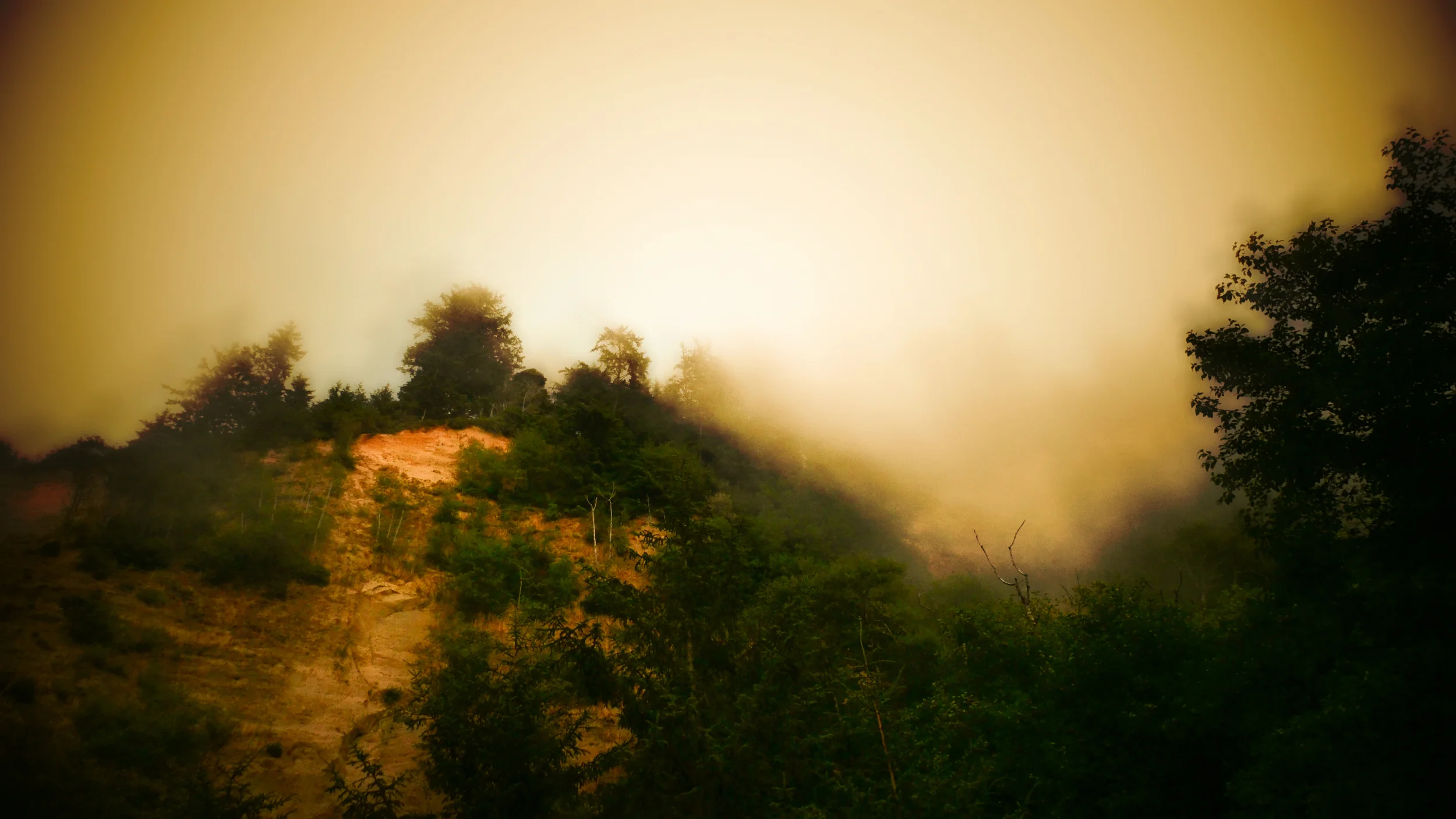Fog Clifforange.jpg