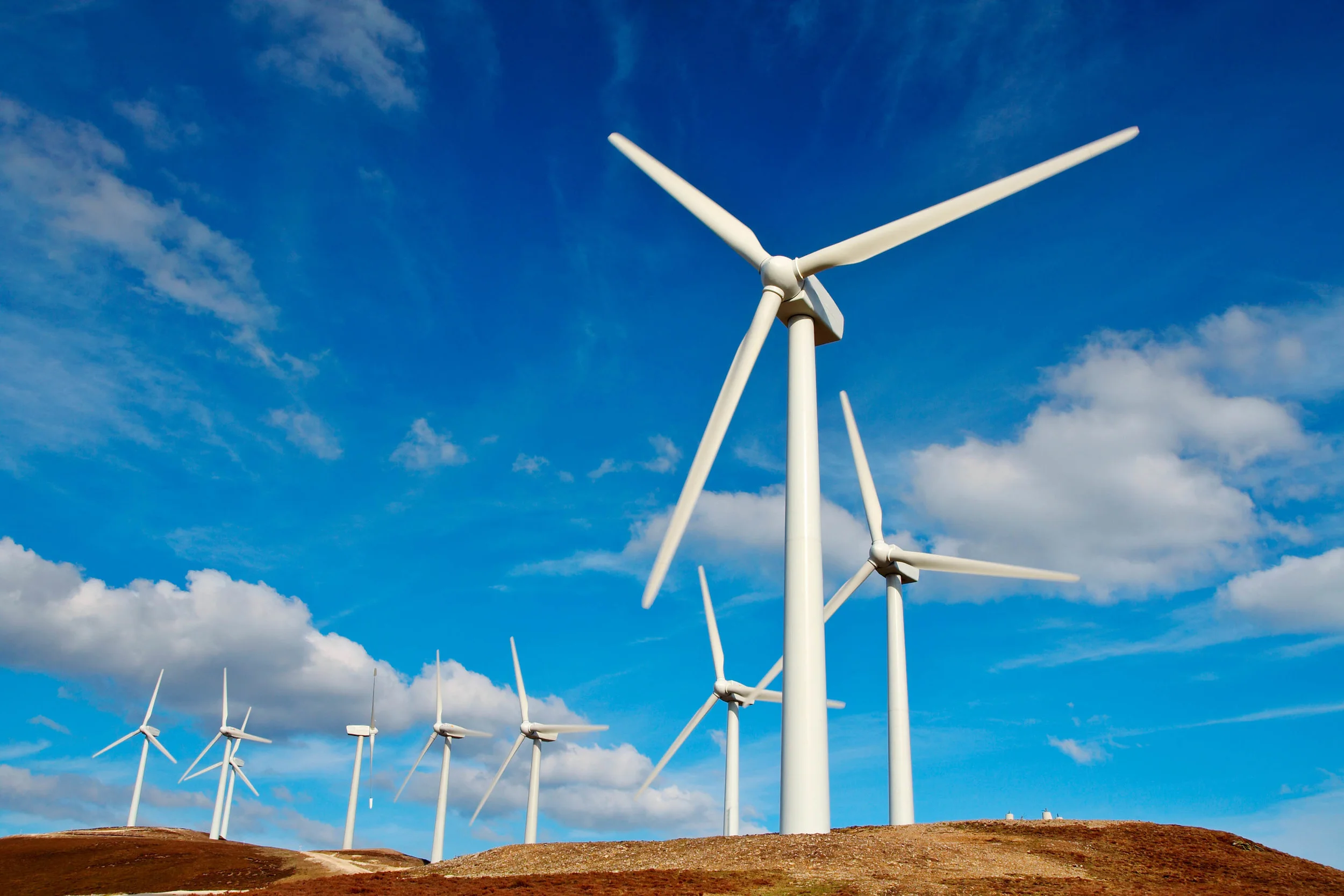 The Blue Circle strengthens its wind engineering division in Singapore