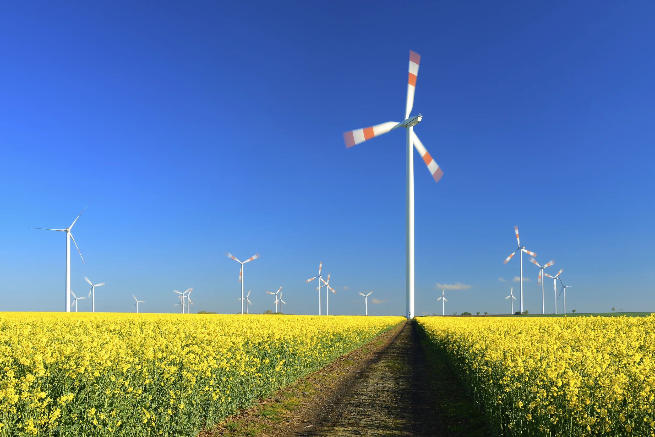 The Blue Circle approved for 40 MW wind project in Vietnam