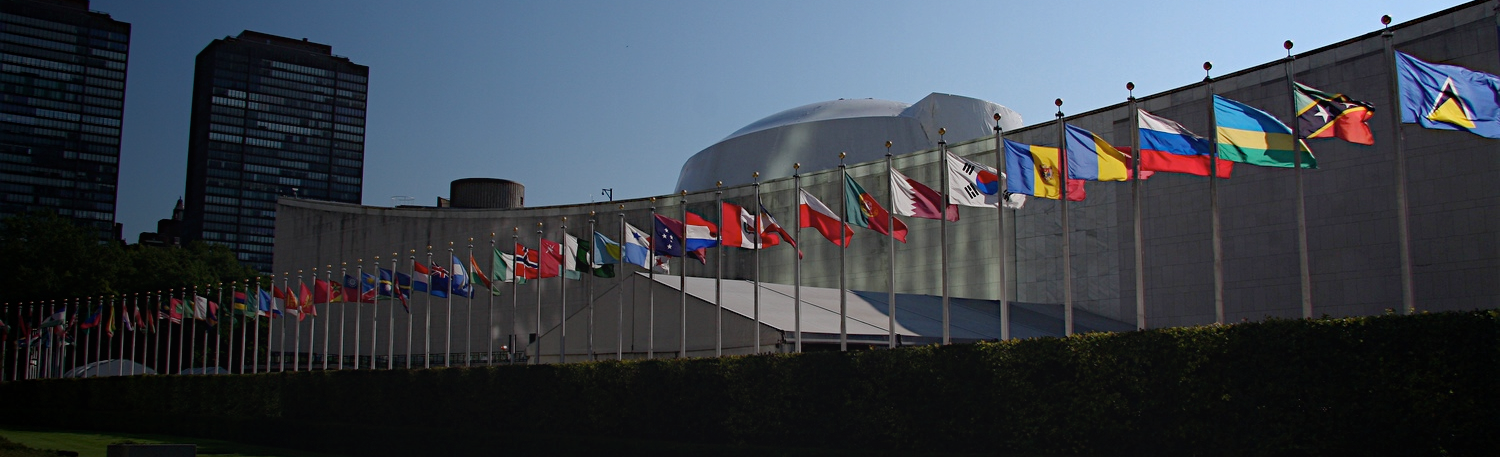 Institutional Reform.png