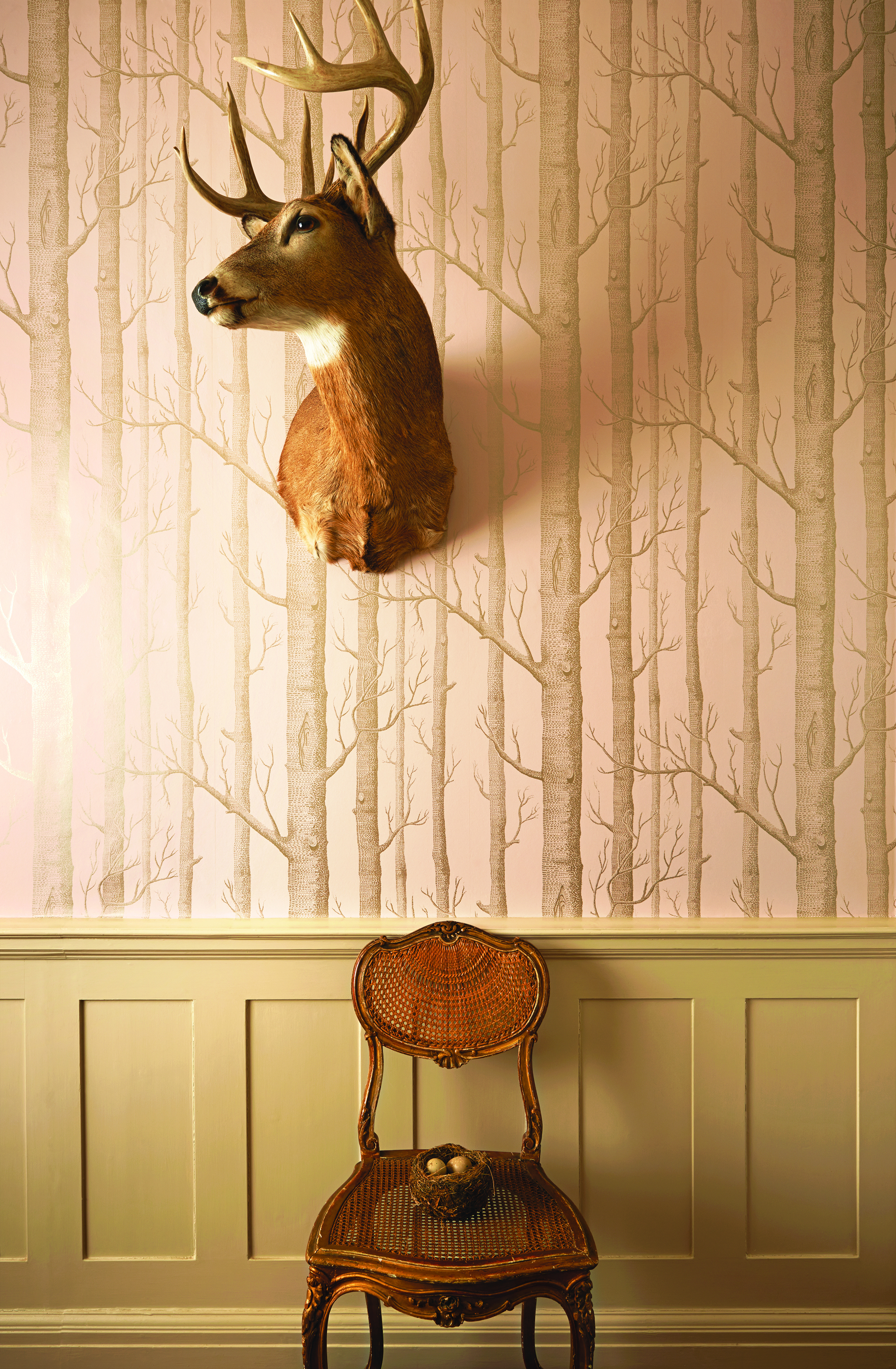 Cole & Son Whimsical