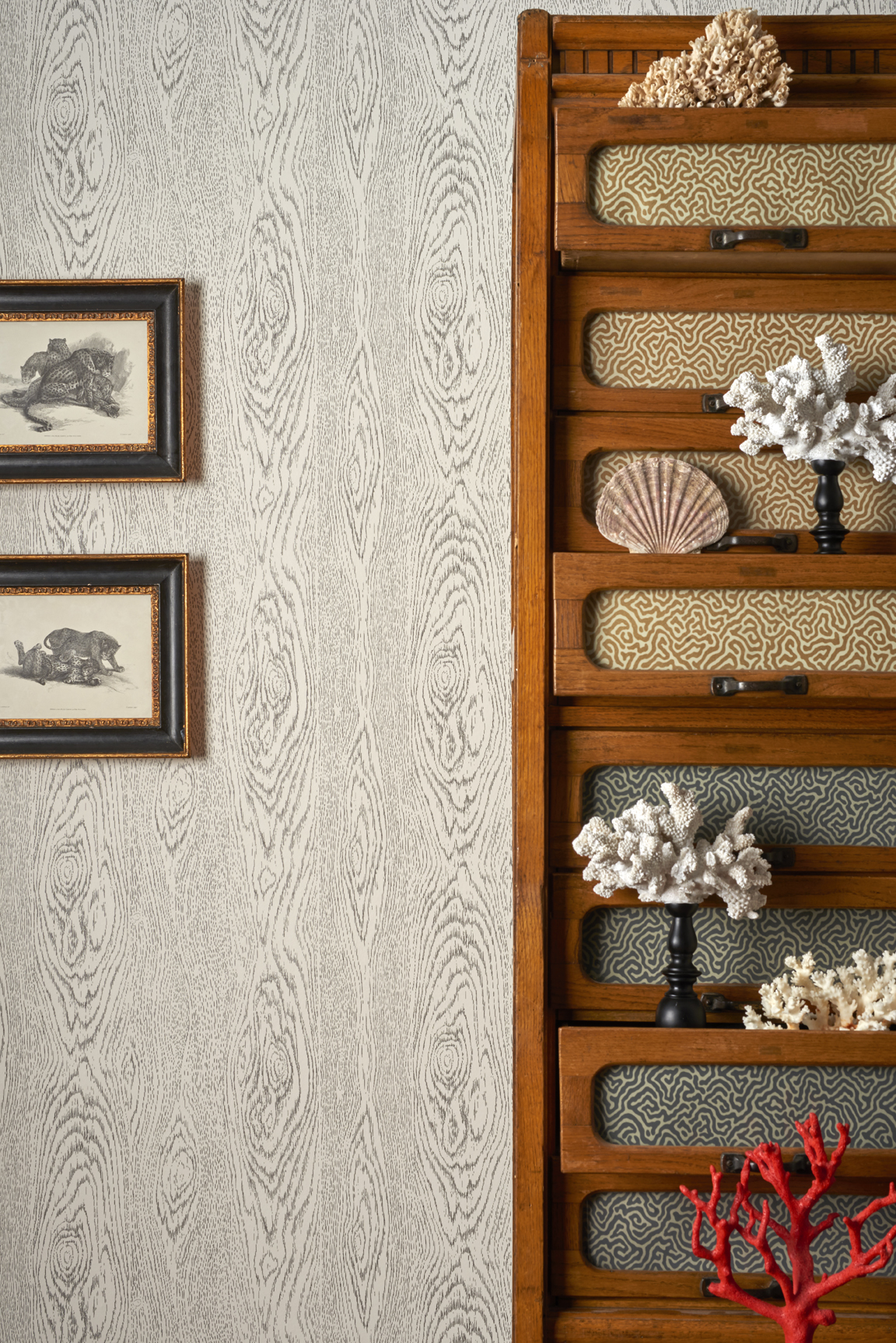 Cole & Son Curio