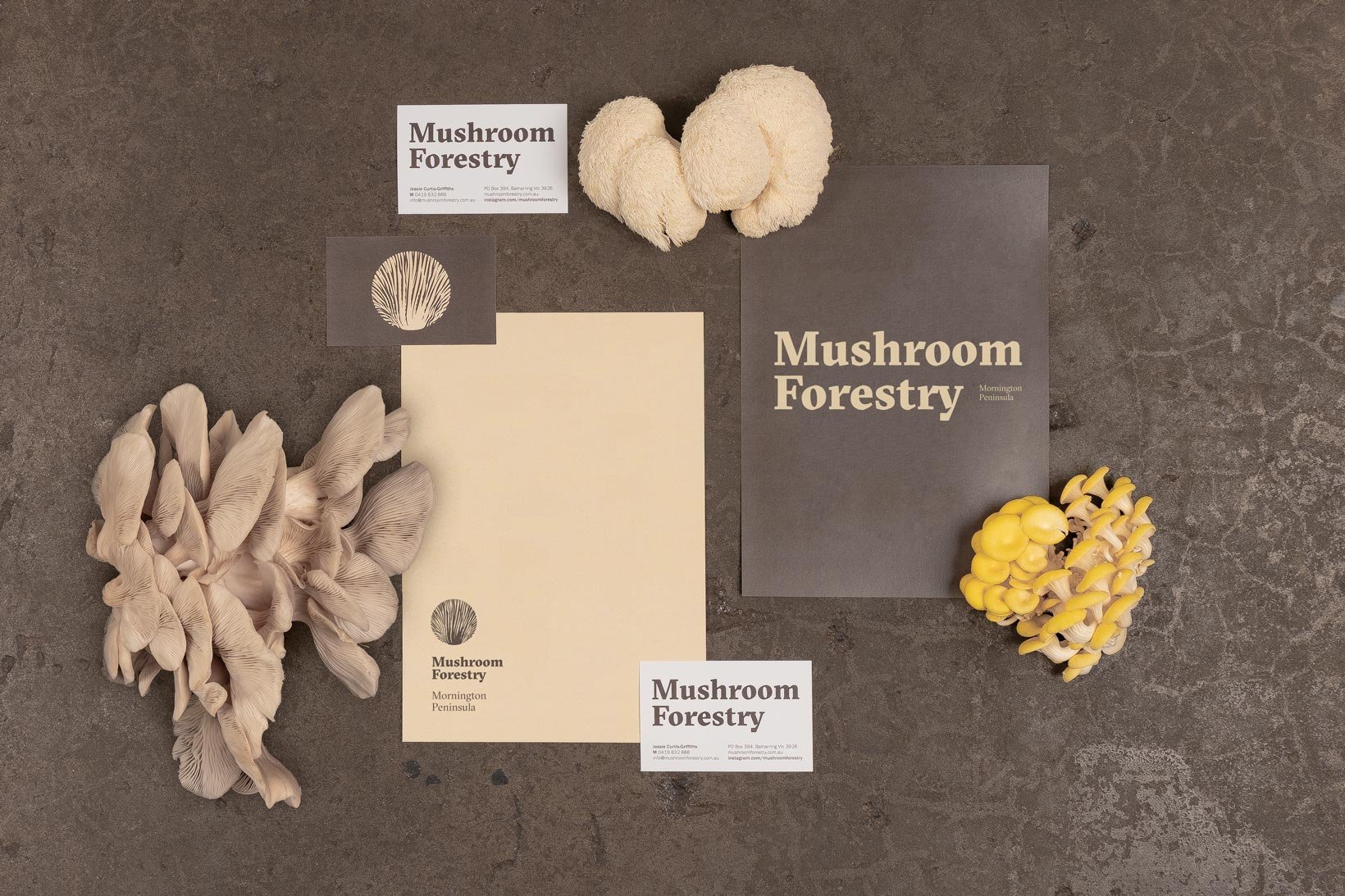 Vibranding_Mushroom_Forestry_branding_1640_3.jpg