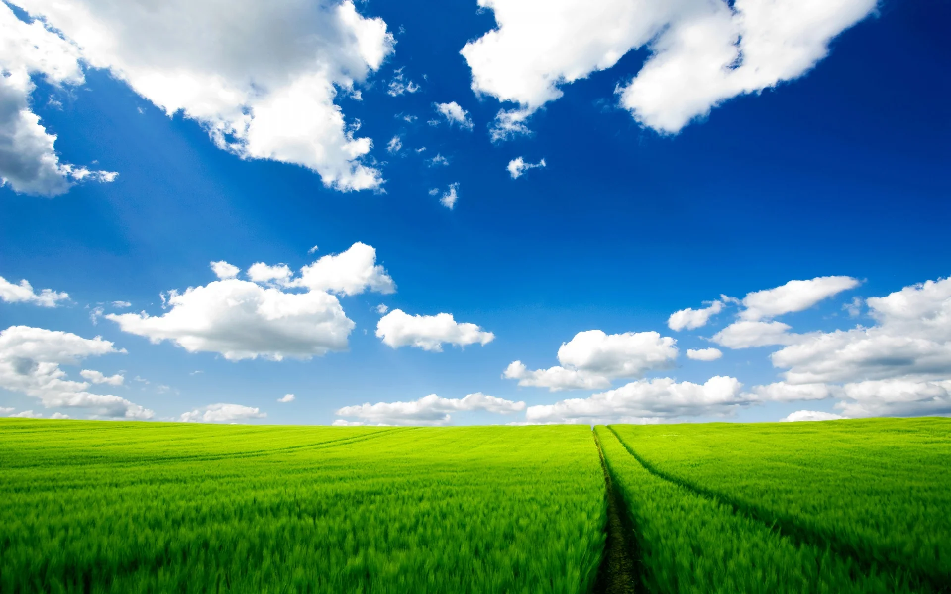 hd-wallpapers-summer-time-desktop-1920x1200-wallpaper.jpg