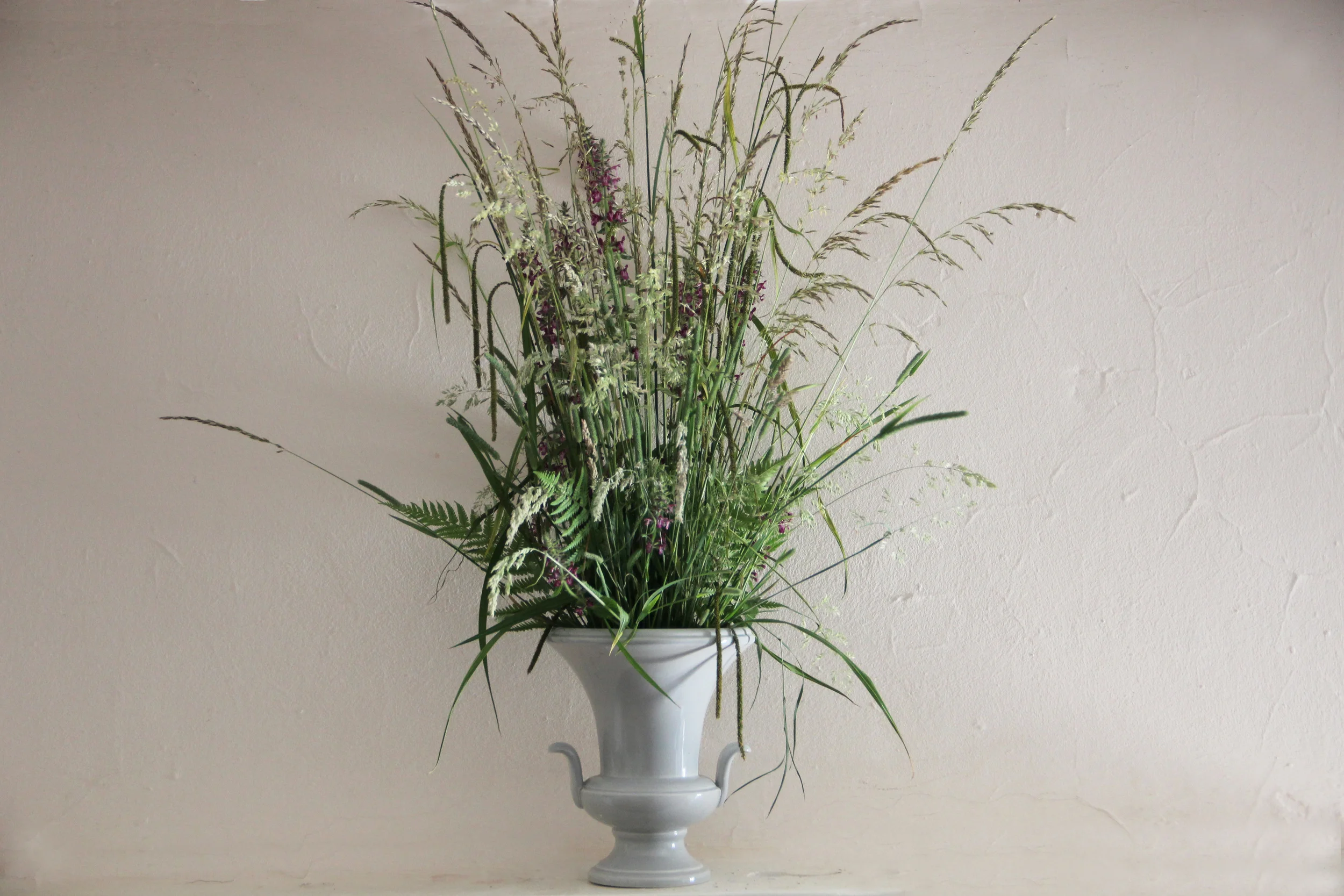  Meadow flora  Gravetye Manor  - England 