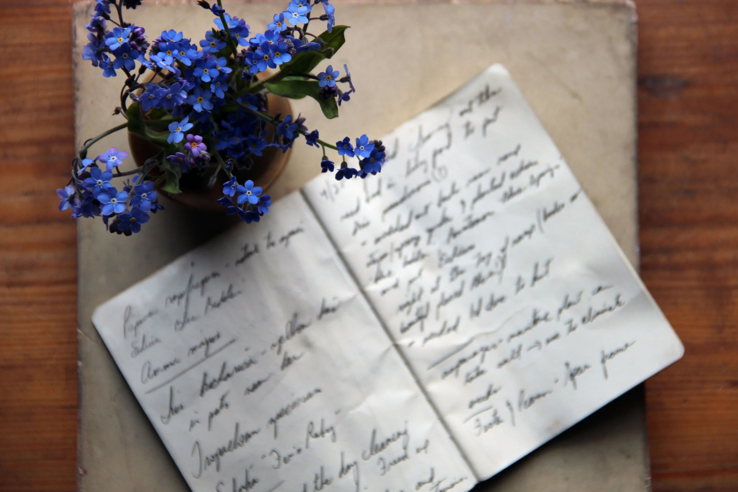  Forget Me Not,   Myosotis sylvatica  and garden notebook  for    Plinth et al.     - England 