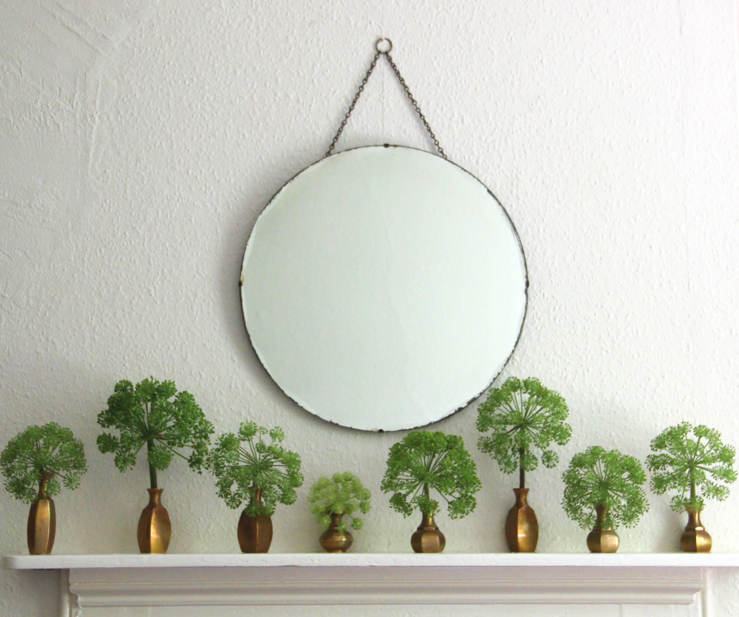  Repetition and shape,   Angelica archangelica  with brass vessels,     Plinth et al.     - England 