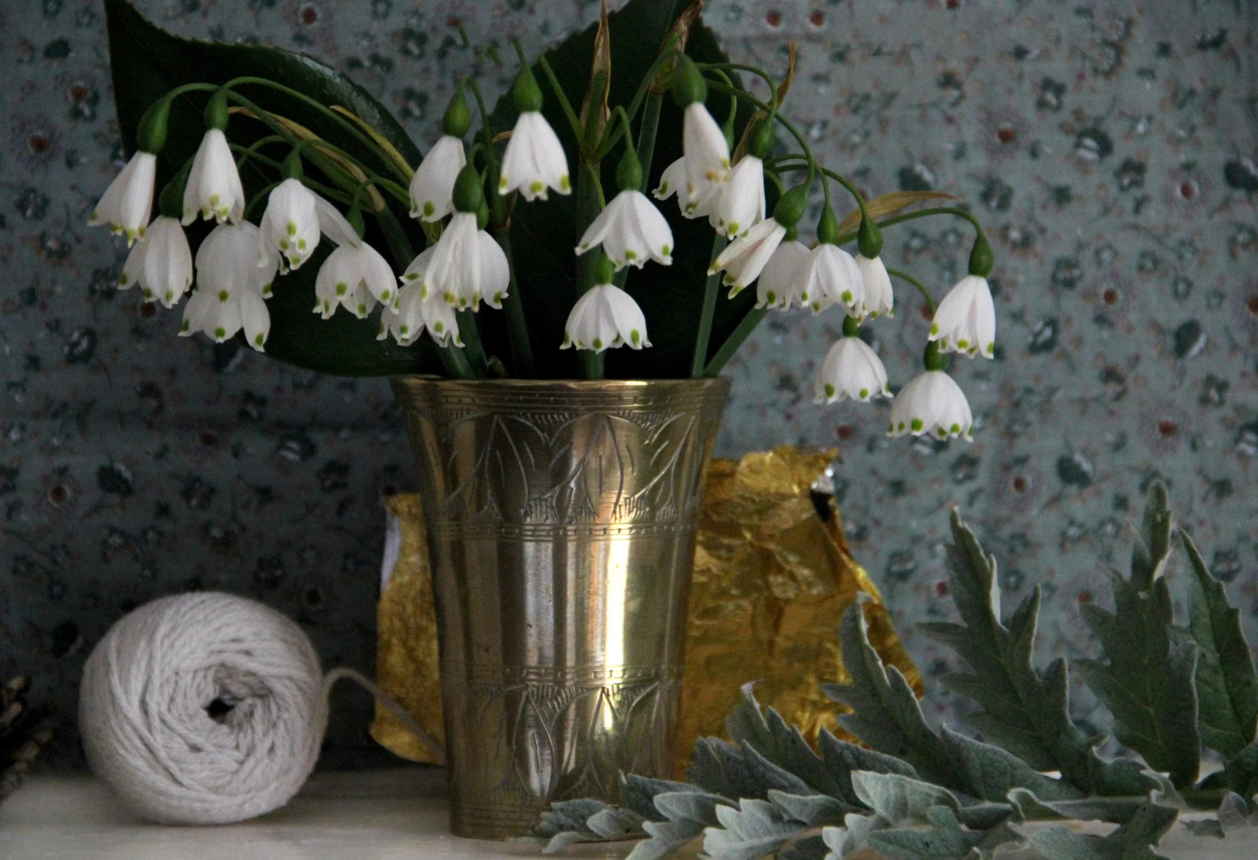   Leucojum aestivum  'Gravetye Giant' still life  for    Plinth et al.     - England 