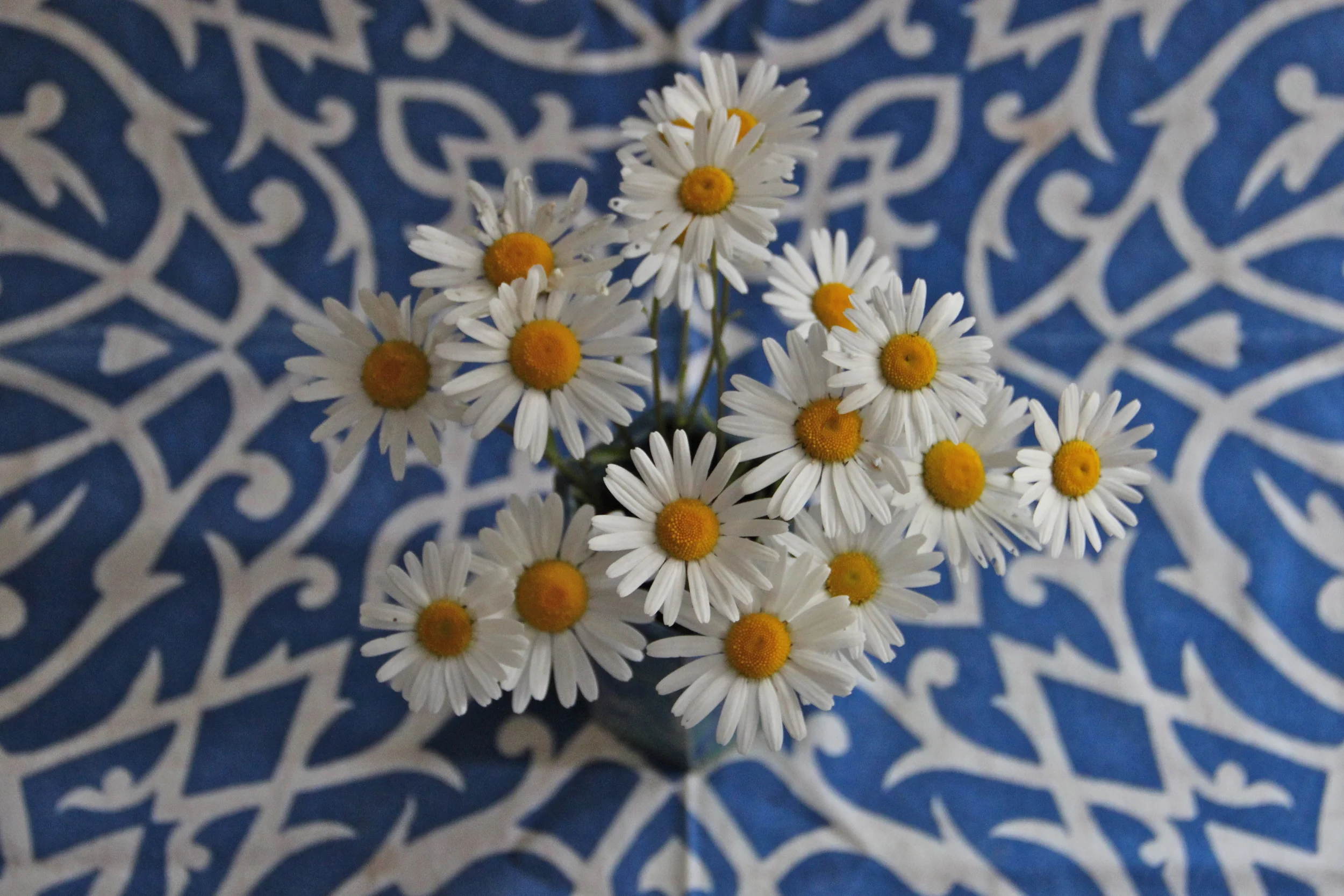  Ox-eye bouquet with Greek textile,     Plinth et al.     - The Netherlands 
