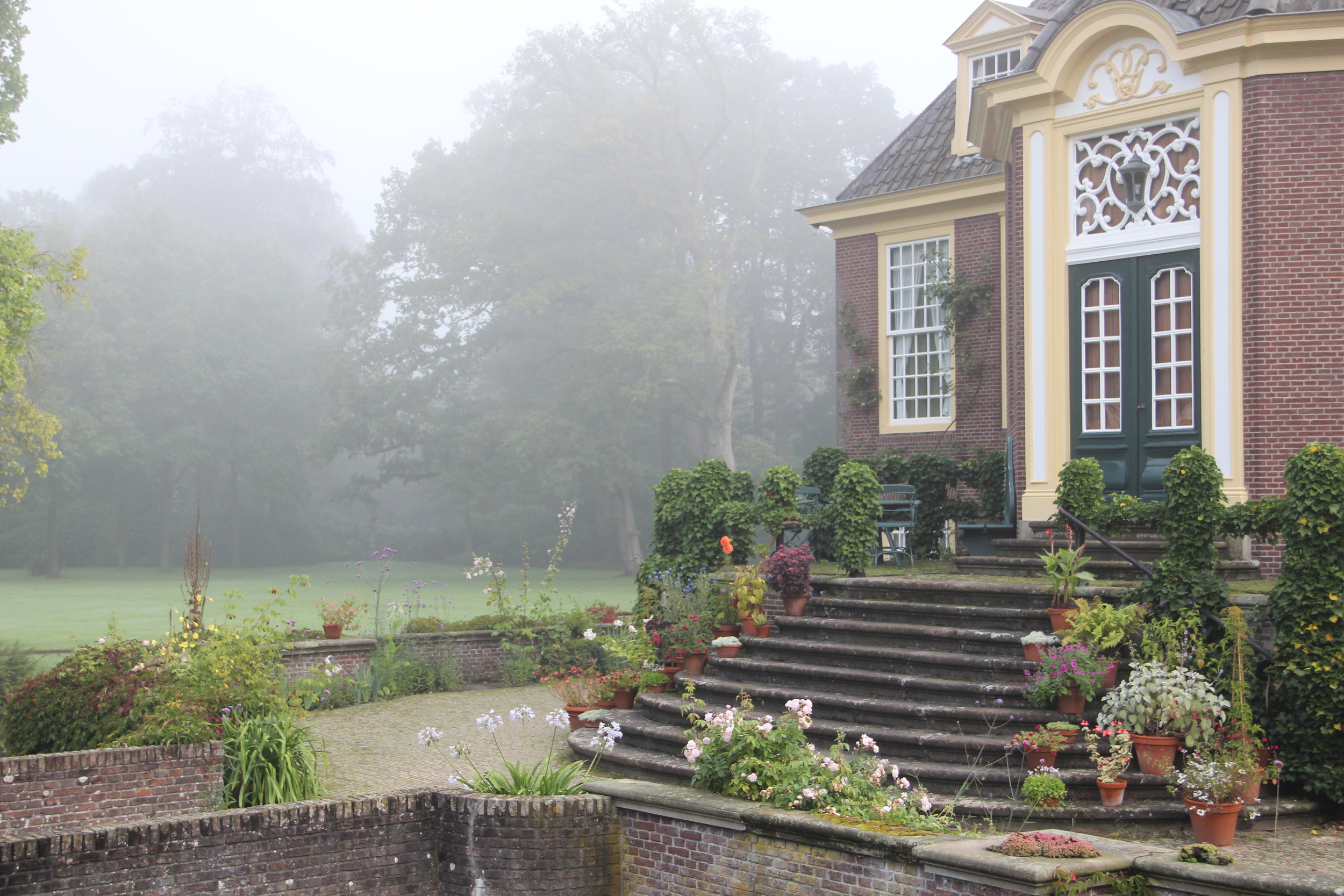  Mixed pot display on steps  - The Netherlands 