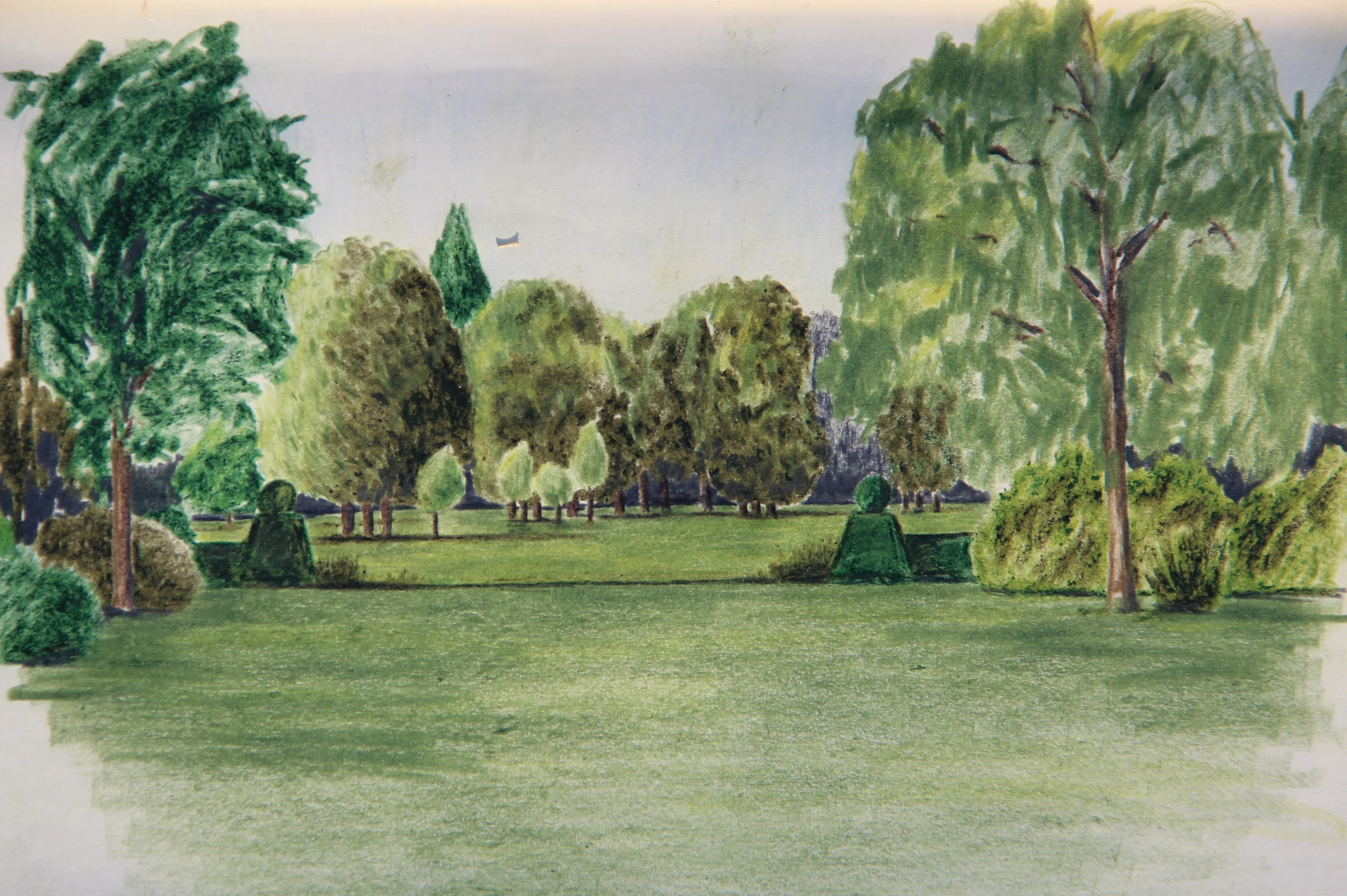  West Lawn, DeWiersse, colored pencil 