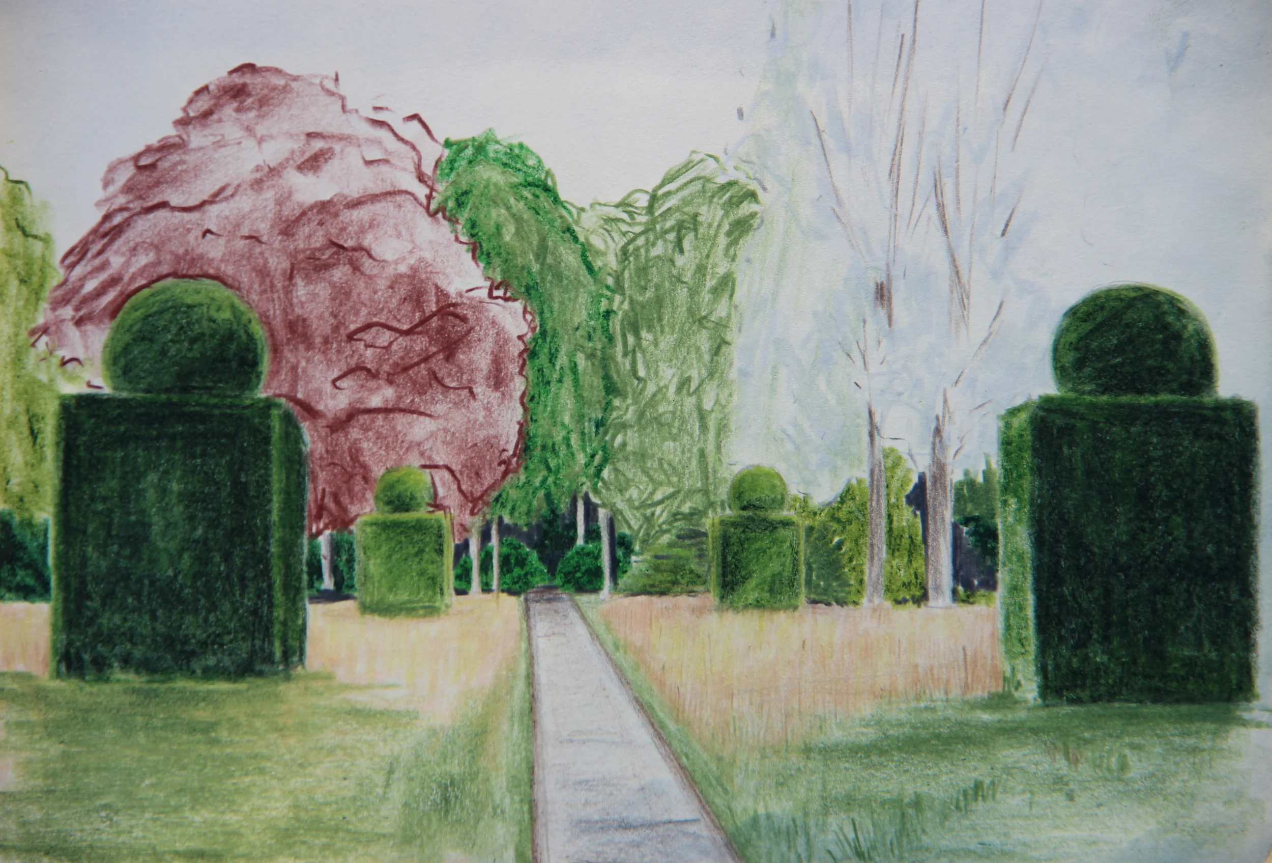  meadow at DeWiersse, colored pencil 