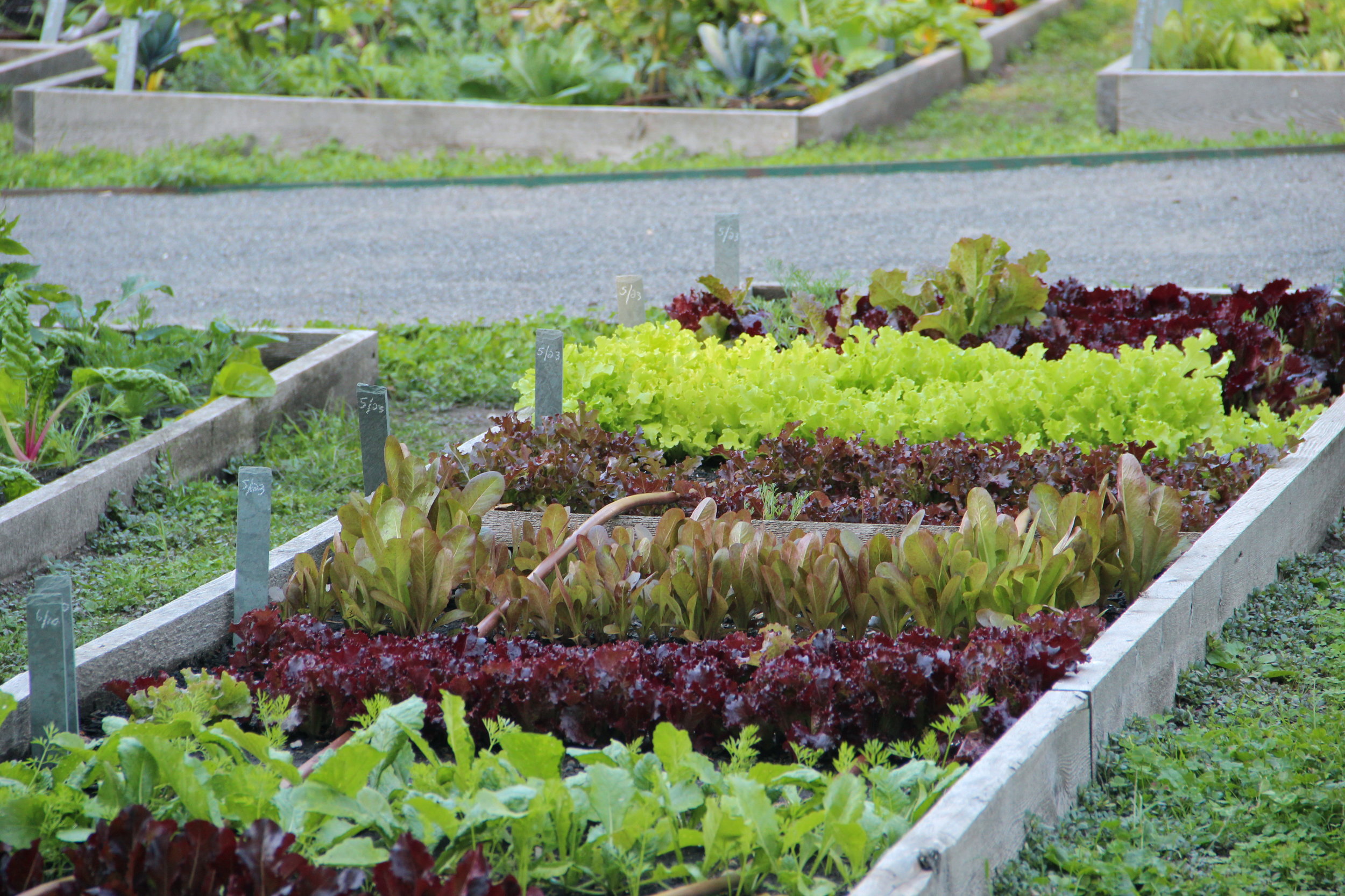 Private Estate, Massachusetts