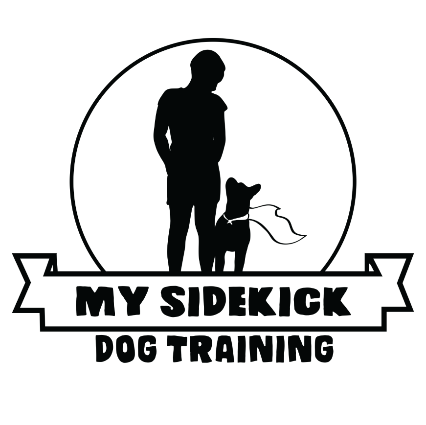 My Sidekick.png