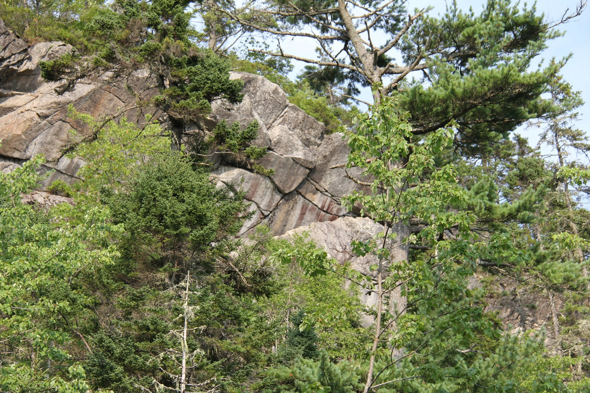 View of Raptor Crag from the trailway