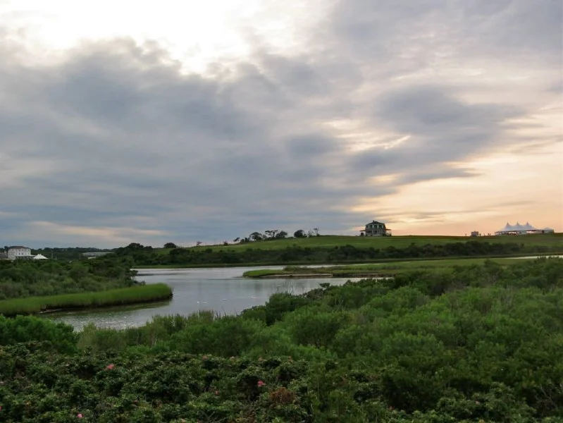 Trims Pond 2010
