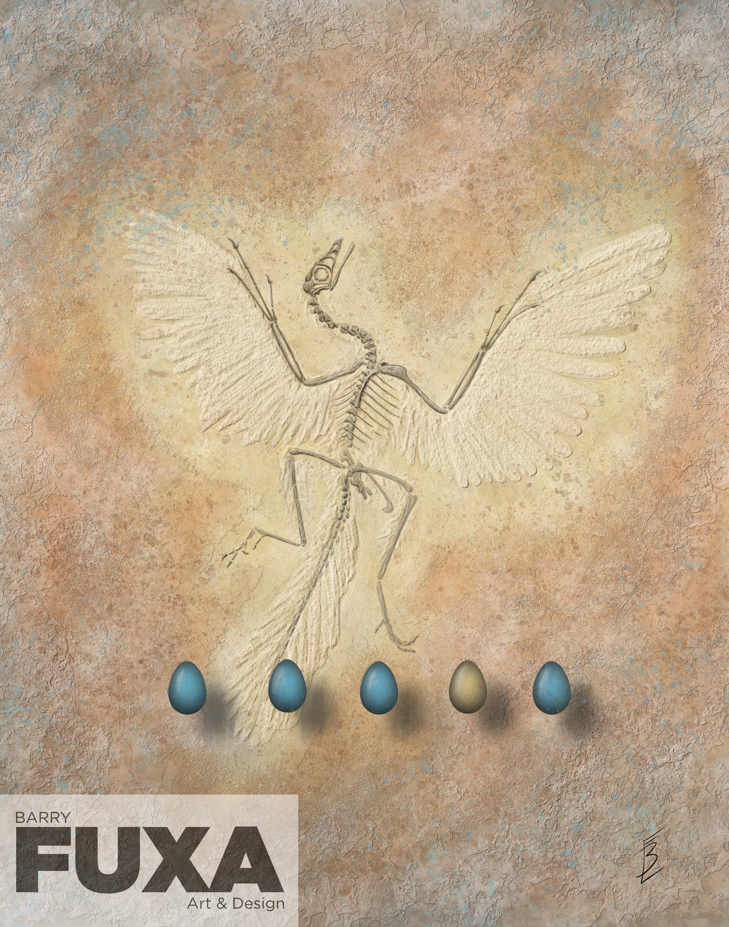 5 11x14 Archeopteryx.jpg