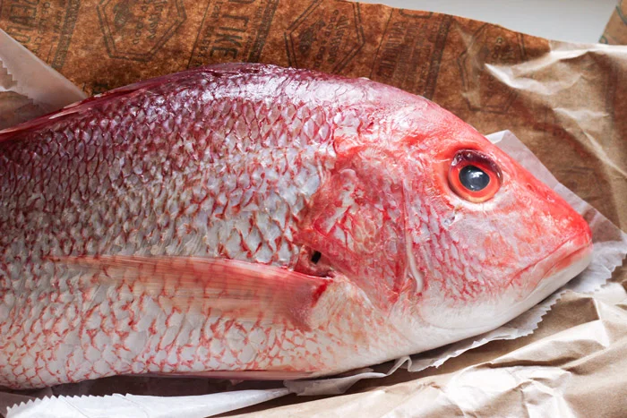 070914-red-snapper-whole.jpg
