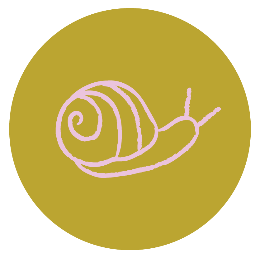 Circle Marks - Snail Lilac.png