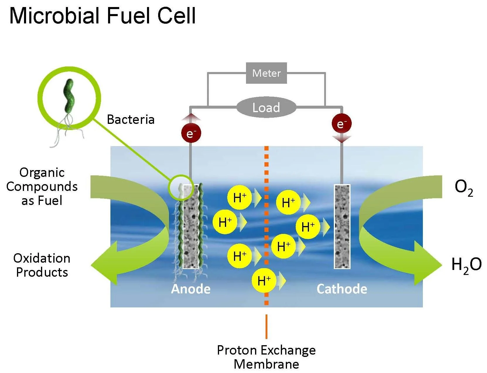 MFC diagram.jpg