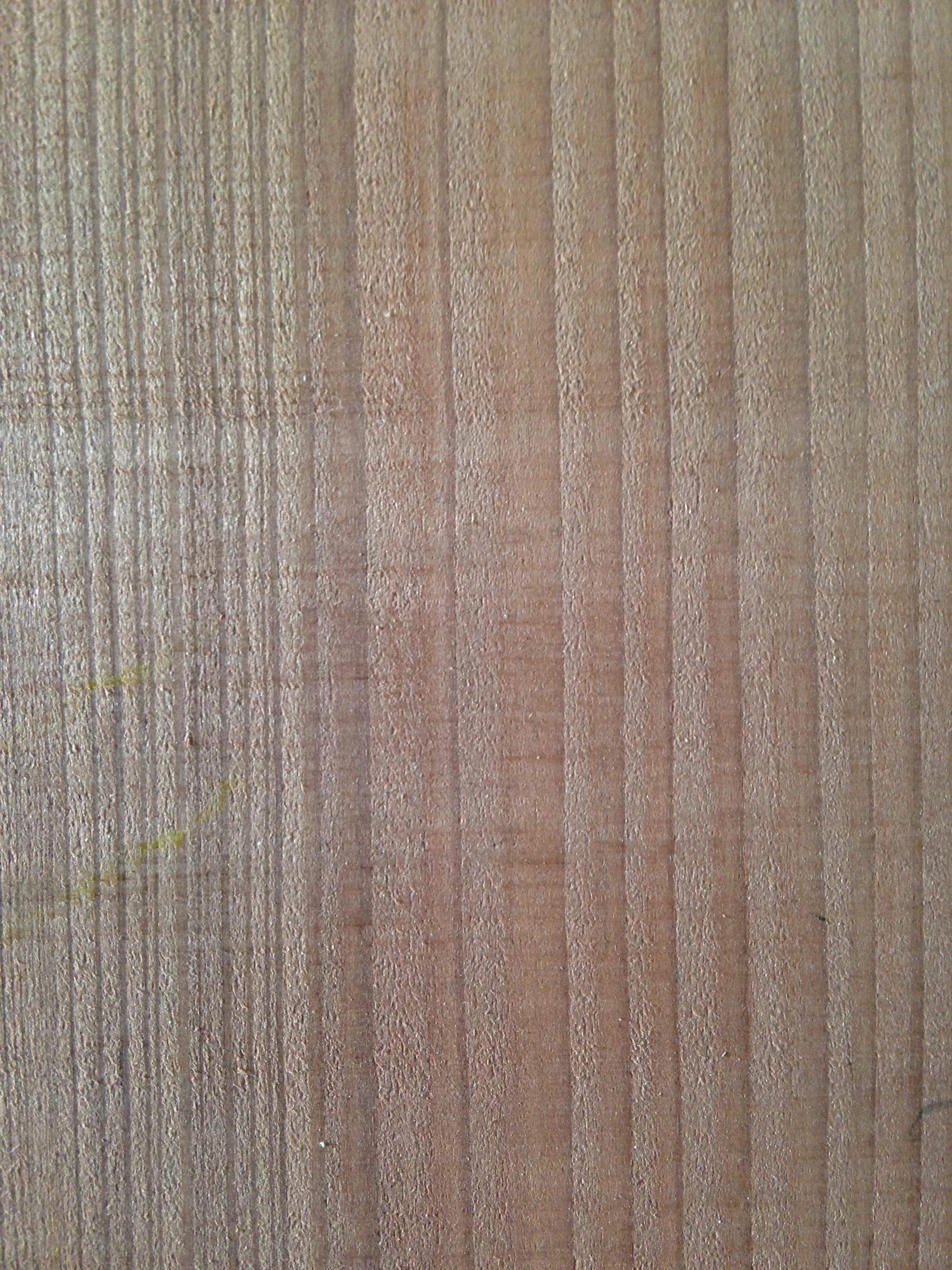 Sinker redwood
