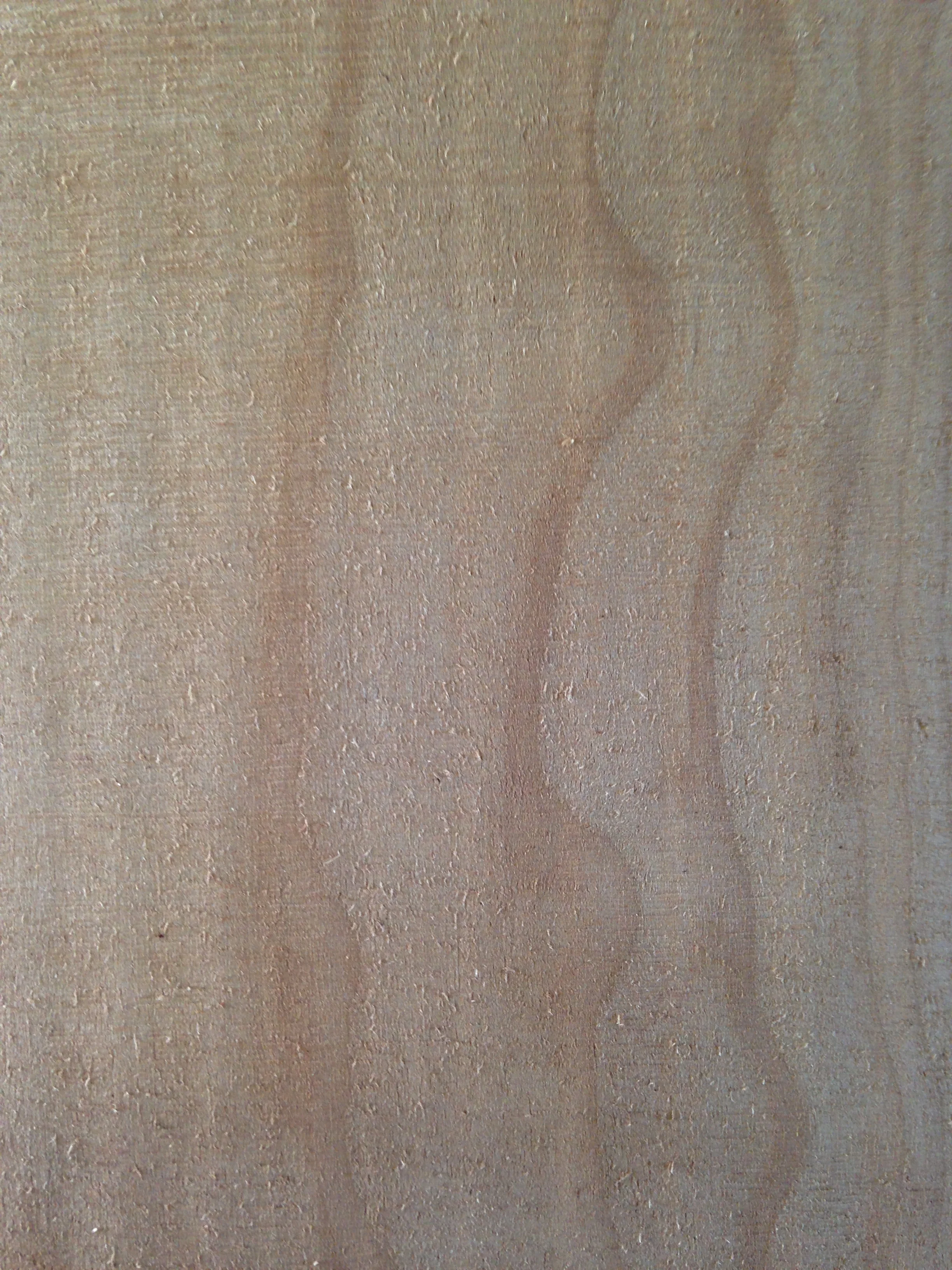 Bird's eye maple