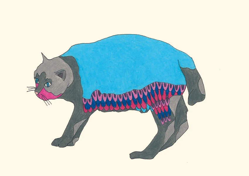 blue blanket cat.jpg