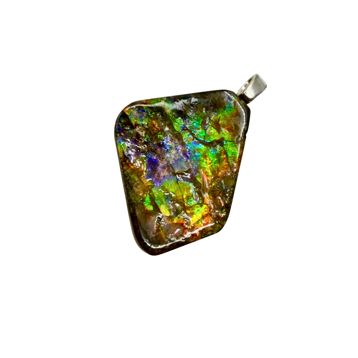 AA Grade Sterling Silver  Ammolite Pendant with Suture Patterns