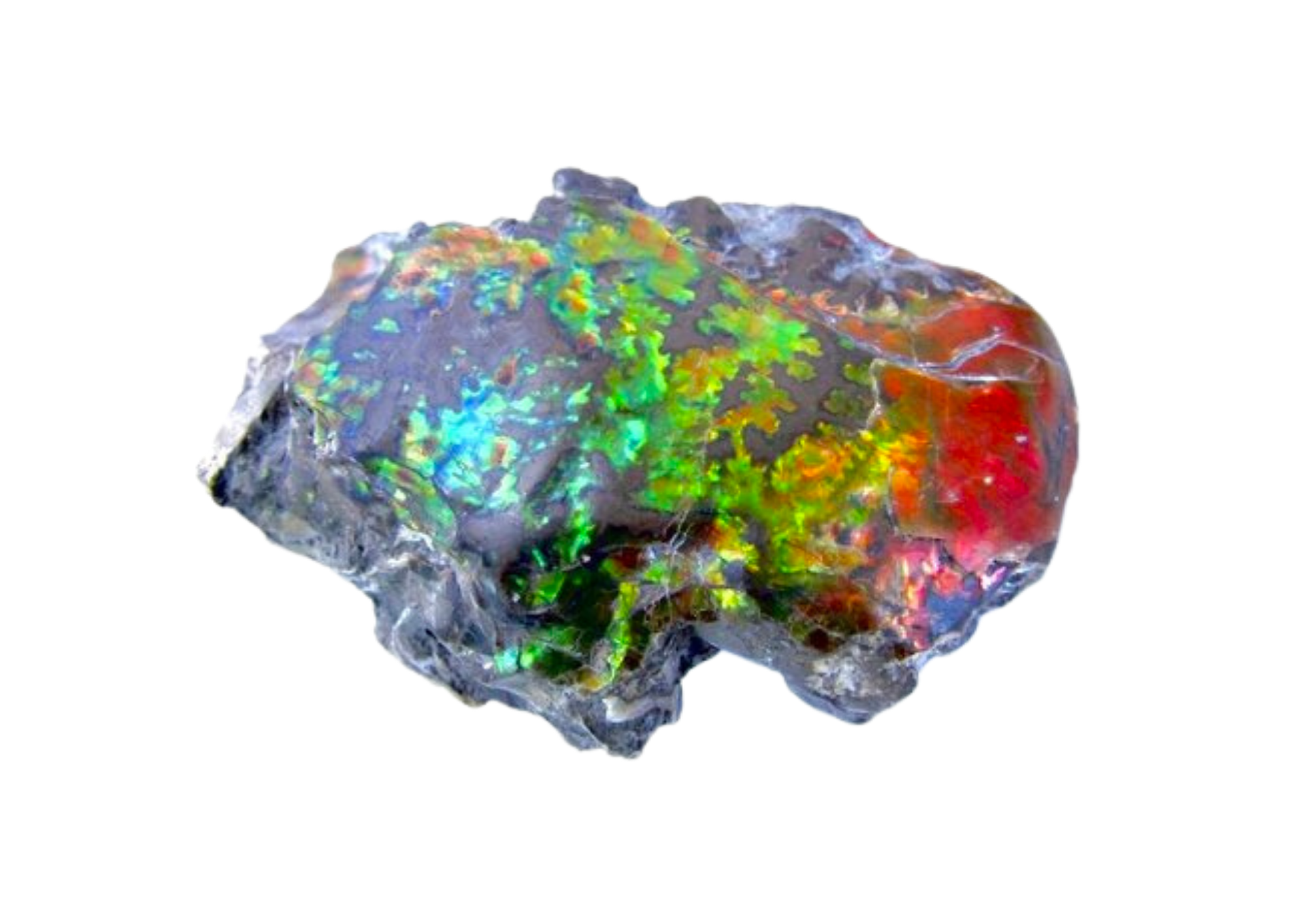 How is ammolite graded and valued? — Ammolite Canada