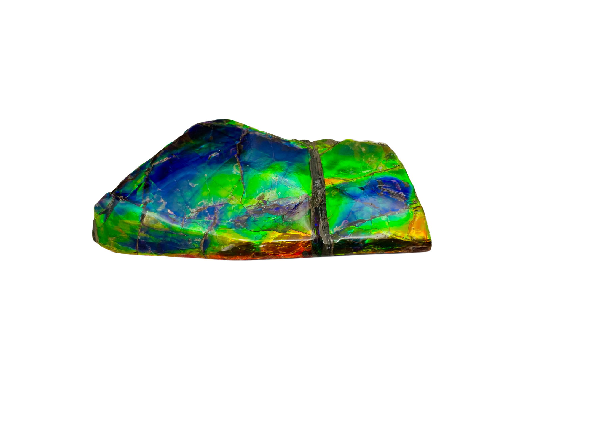 aa-gem-grade-ammolite-art-piece-ammolite-canada