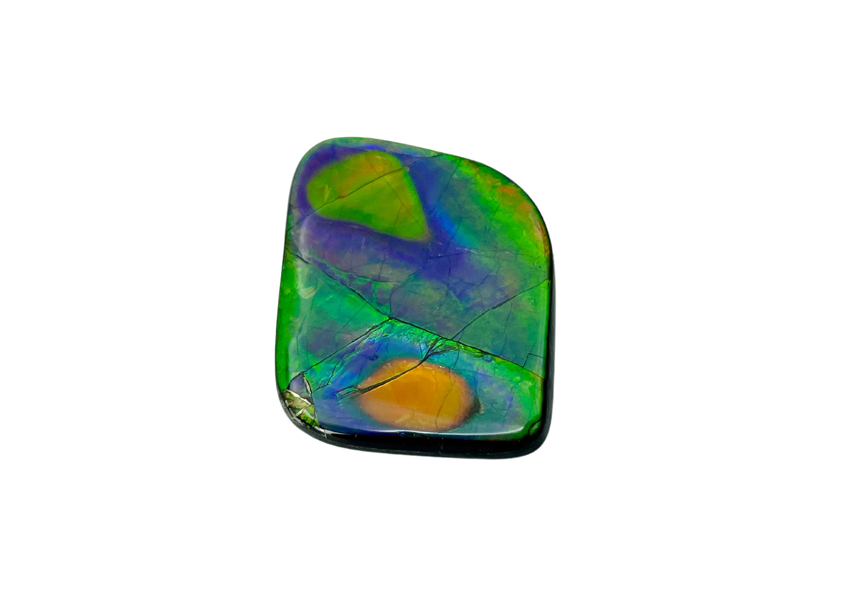 AA Grade Ammolite Gemstone — Ammolite Canada