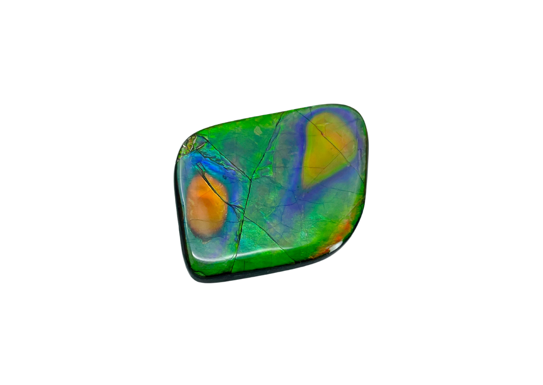 AA Grade Ammolite Gemstone — Ammolite Canada