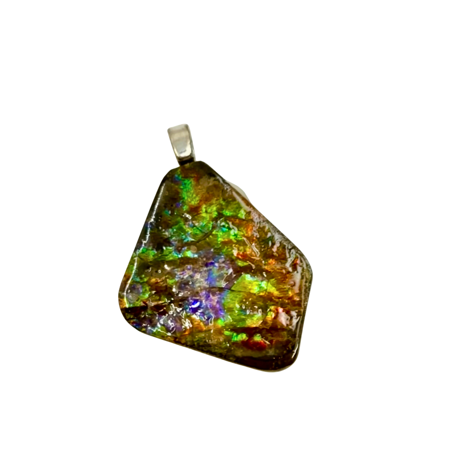 AA Grade Sterling Silver Ammolite Pendant with Suture Patterns