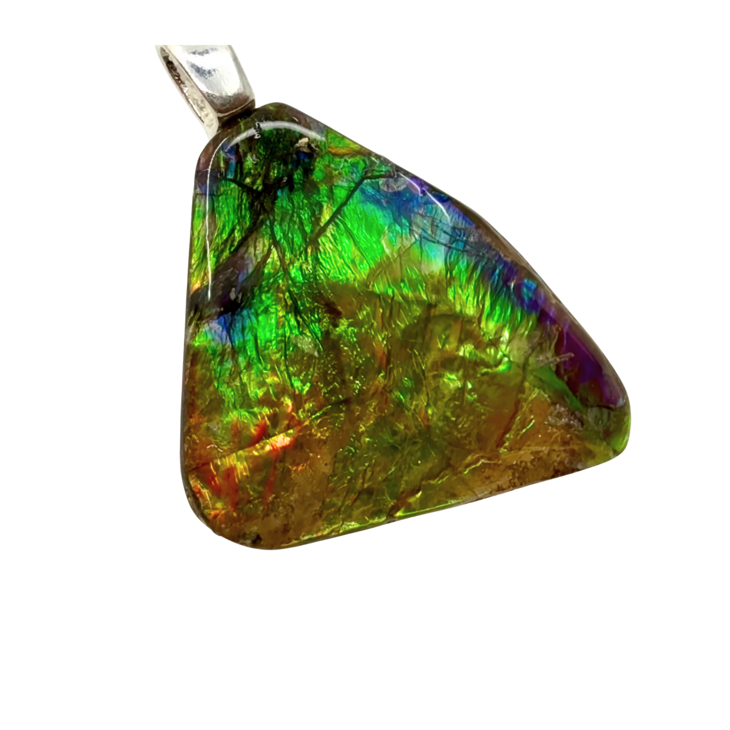 AA Grade Freeform Sterling Silver Ammolite Pendant