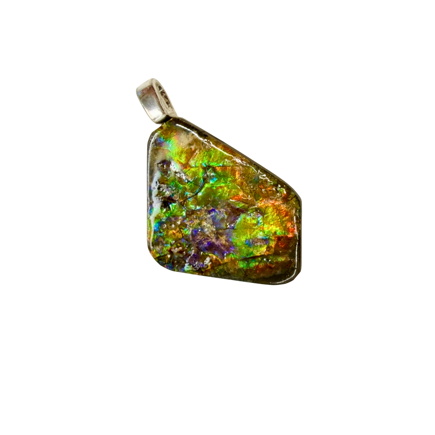 AA Grade Sterling Silver Ammolite Pendant with Suture Patterns