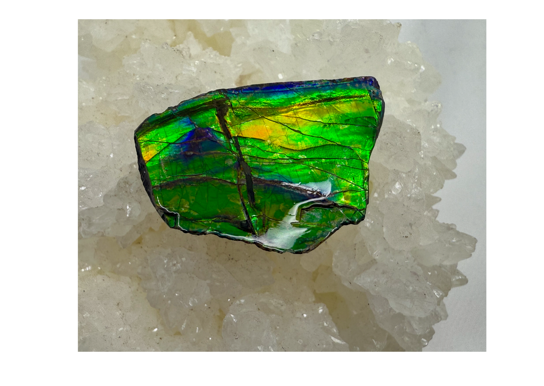AA Grade Ammolite Art Piece