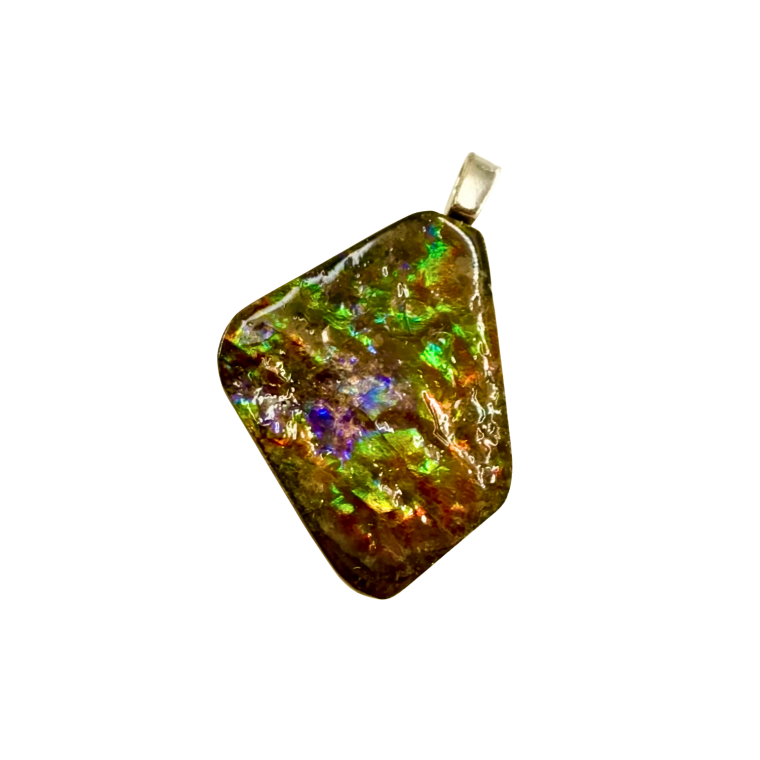 AA Grade Sterling Silver Ammolite Pendant with Suture Patterns