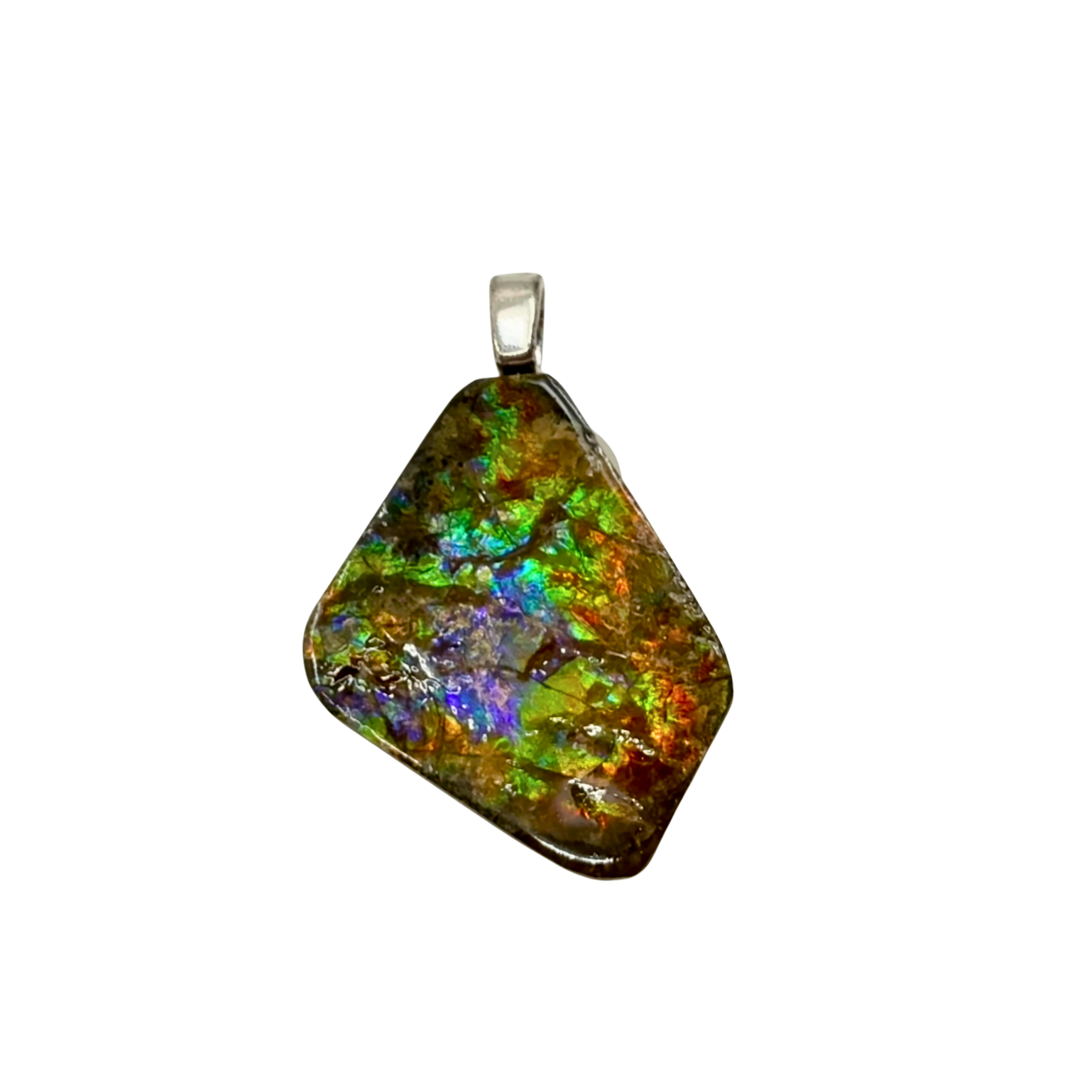 AA Grade Sterling Silver Ammolite Pendant with Suture Patterns
