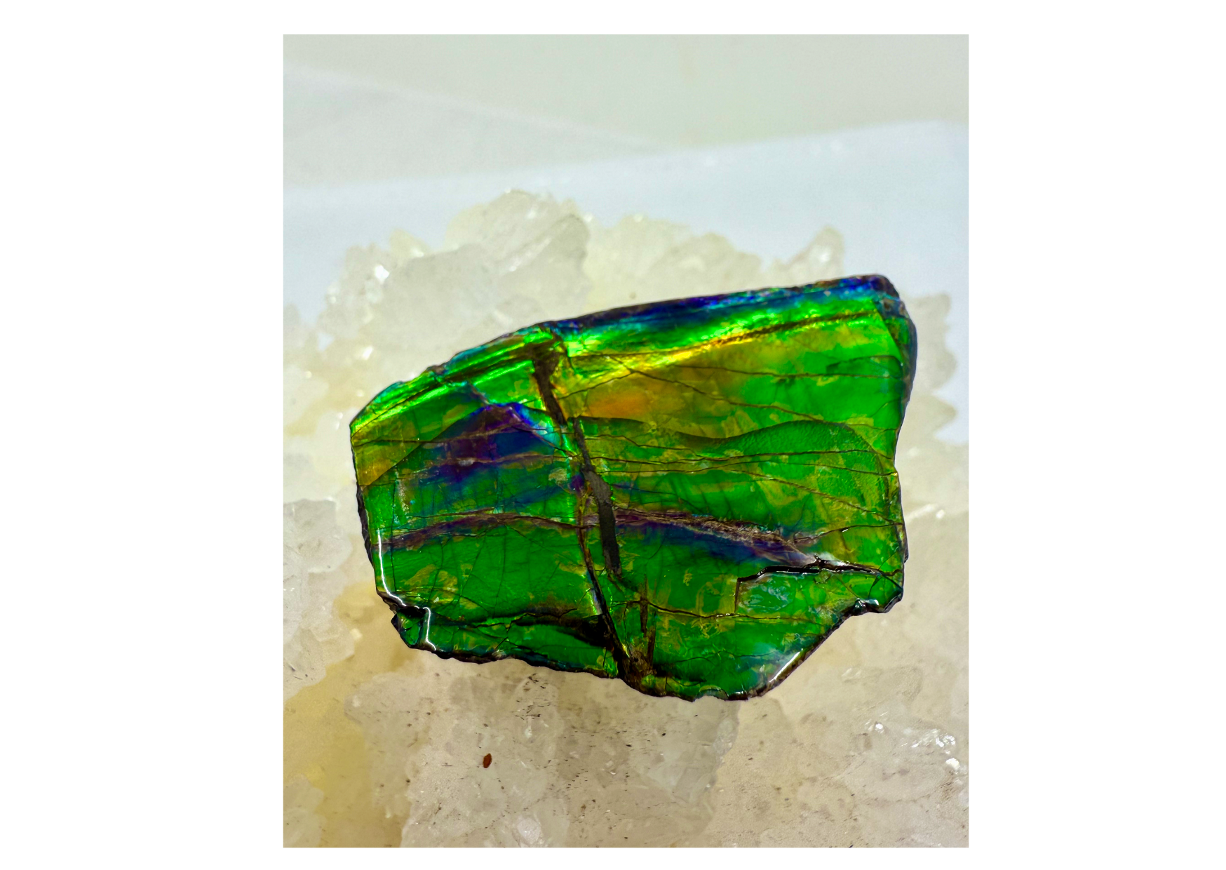 AA Grade Ammolite Art Piece