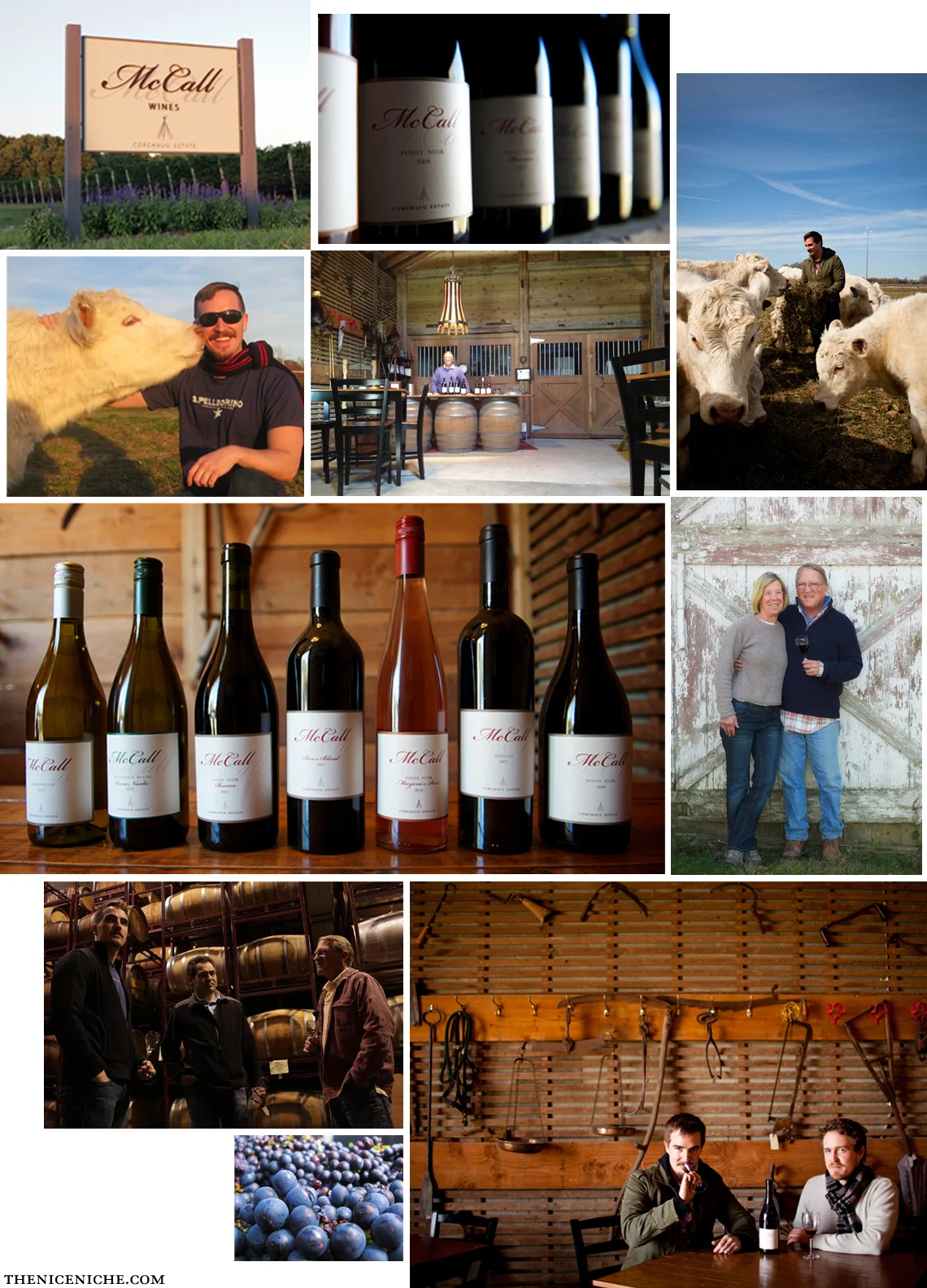 McCall Wines